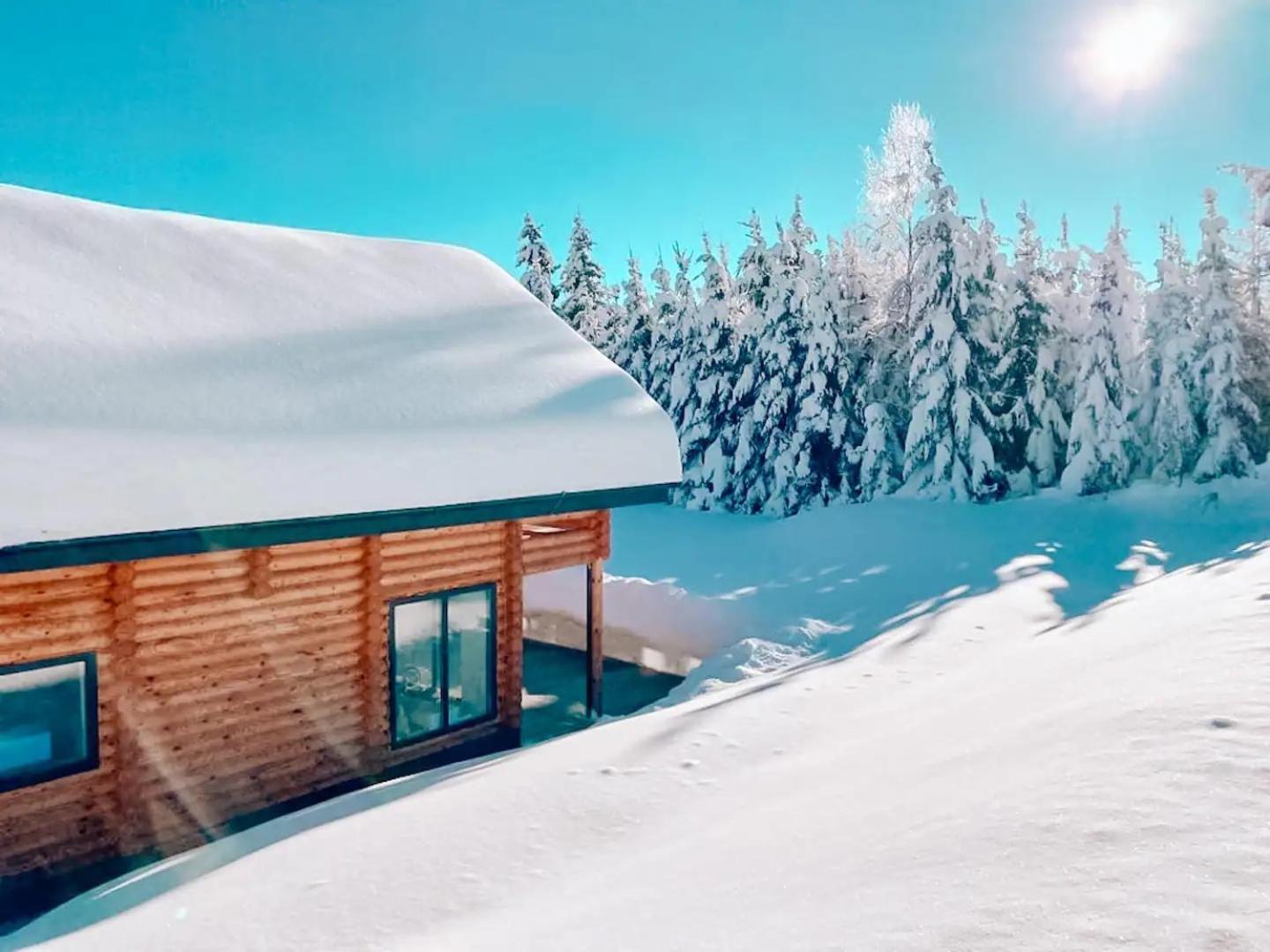 Pur Natur! Wandern Und Skifahren - Trahuetti Premium Lodges Trahutten Exterior foto
